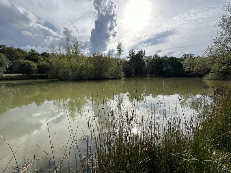 Terrain de loisirs - 15 121 m²