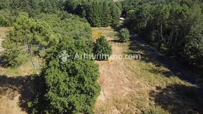 Terrain - 3 390 m²