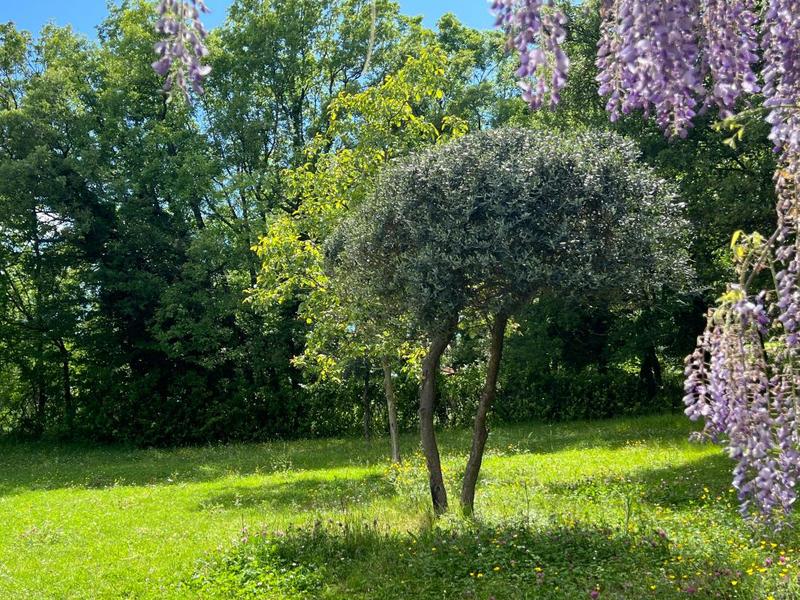 Maison - 222 m² - 5 pièces