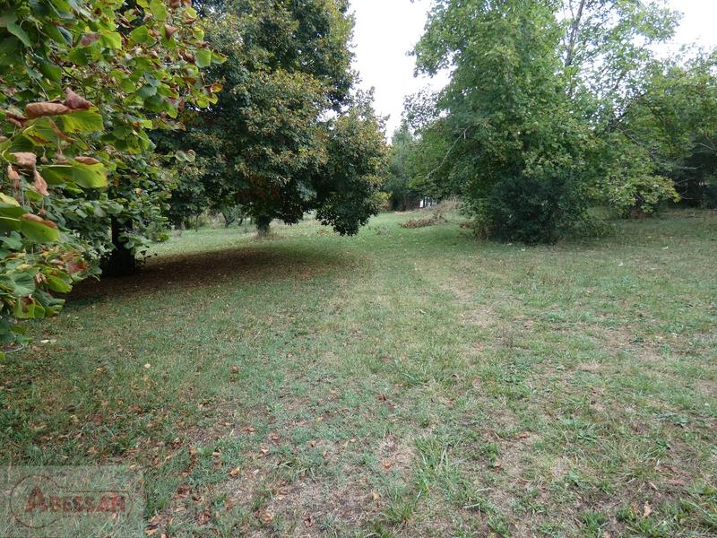 Bureau - 343 m² - 4 pièces