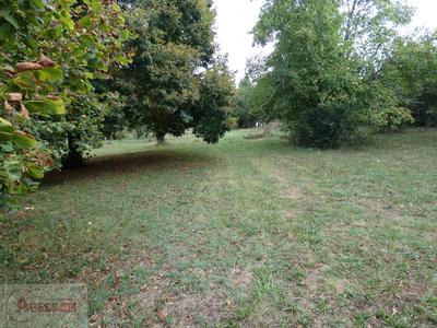 Bureau - 343 m² - 4 pièces