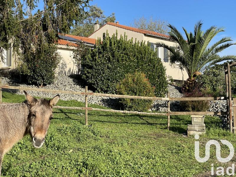 Maison de village - 130 m² - 6 pièces