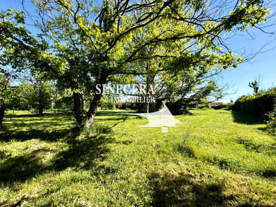 Local commercial - 380 m² - 18 pièces