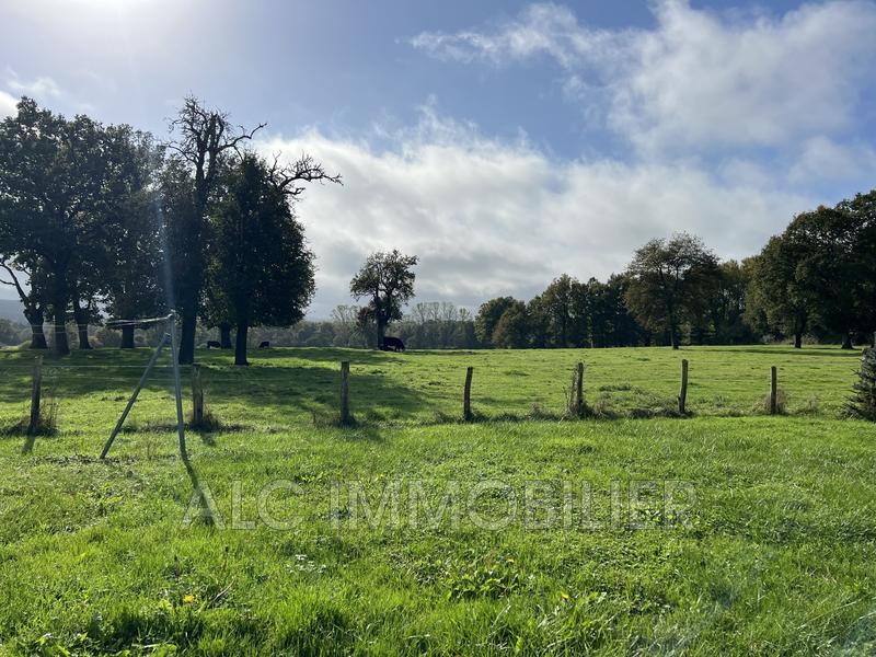 Ferme - 145 m² - 5 pièces