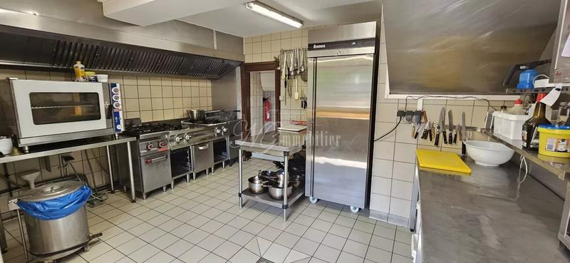 Immeuble mixte - 10 pièces