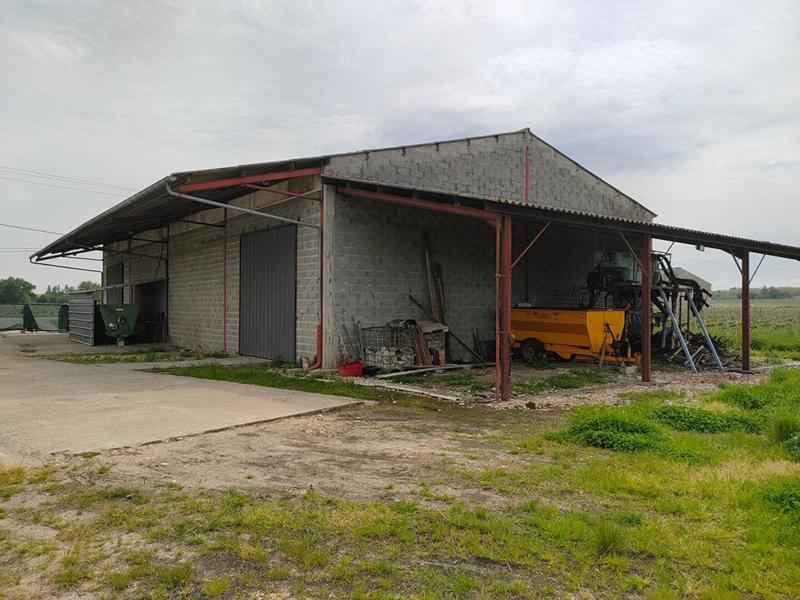 Maison - 1 000 m² - 1 pièce