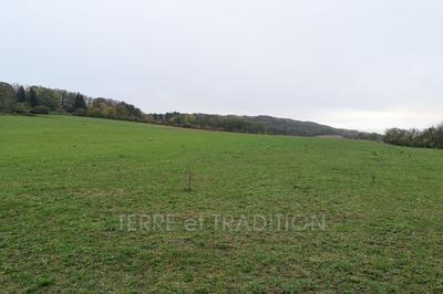 Terrain - 1 278 m²