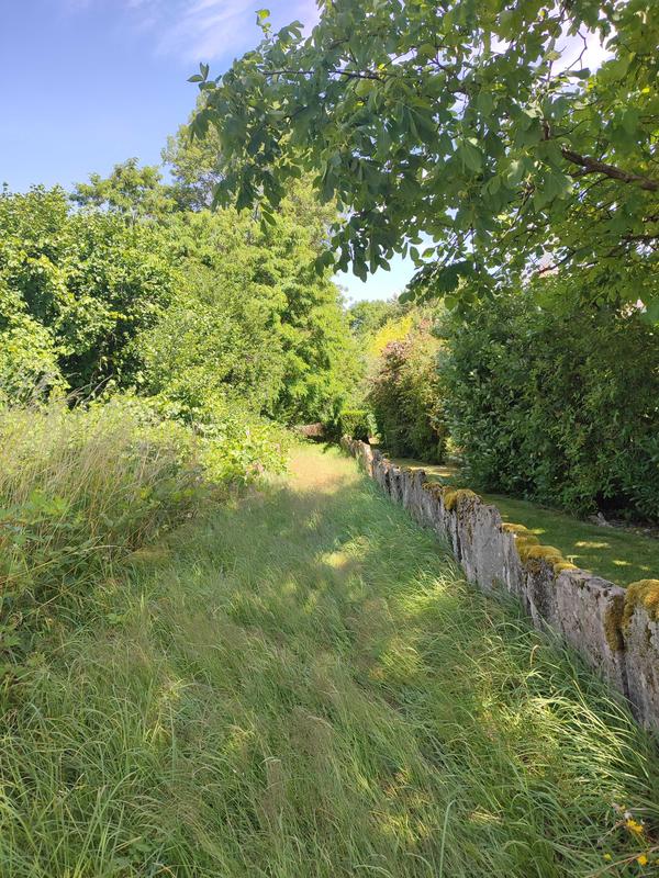 Visite guidée « les Remarquables : un Autre Regard »