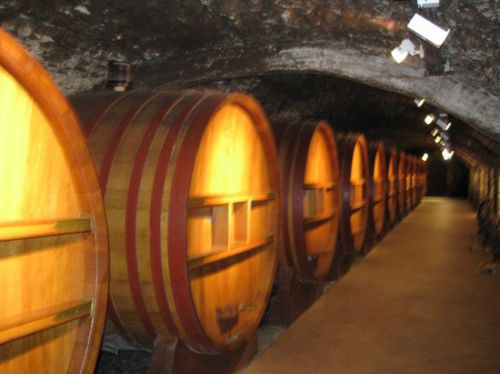 Avignon Wine Tours