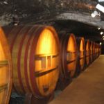 Avignon Wine Tours