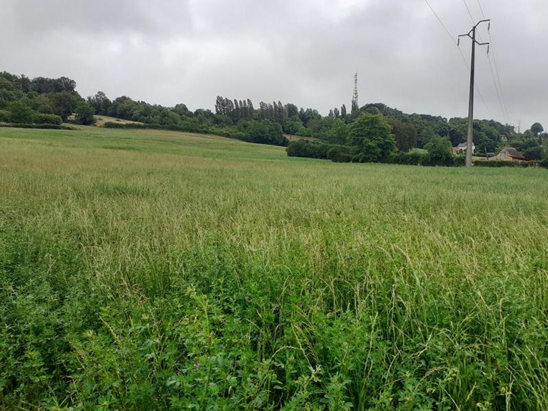 Terrain constructible - 11 500 m²