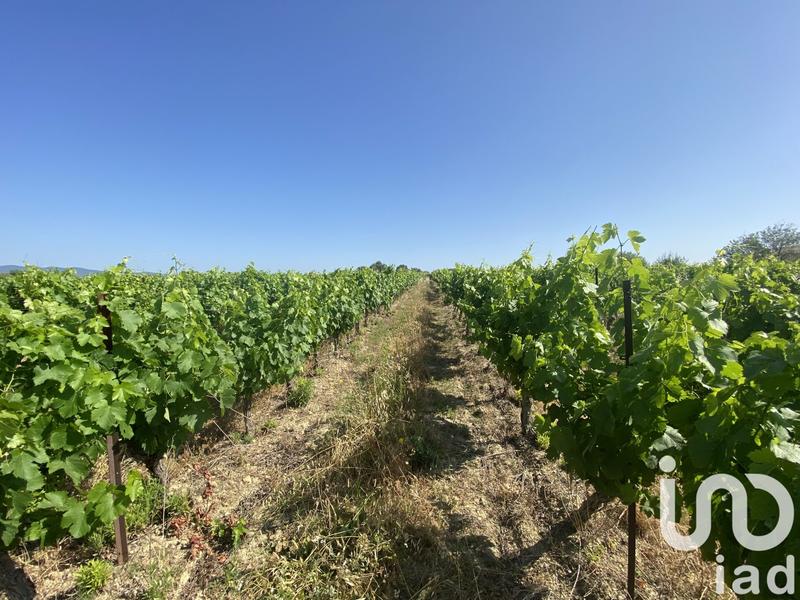 Terrain agricole - 216 211 m²