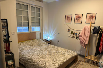 Appartement - 41 m² - 1 pièce