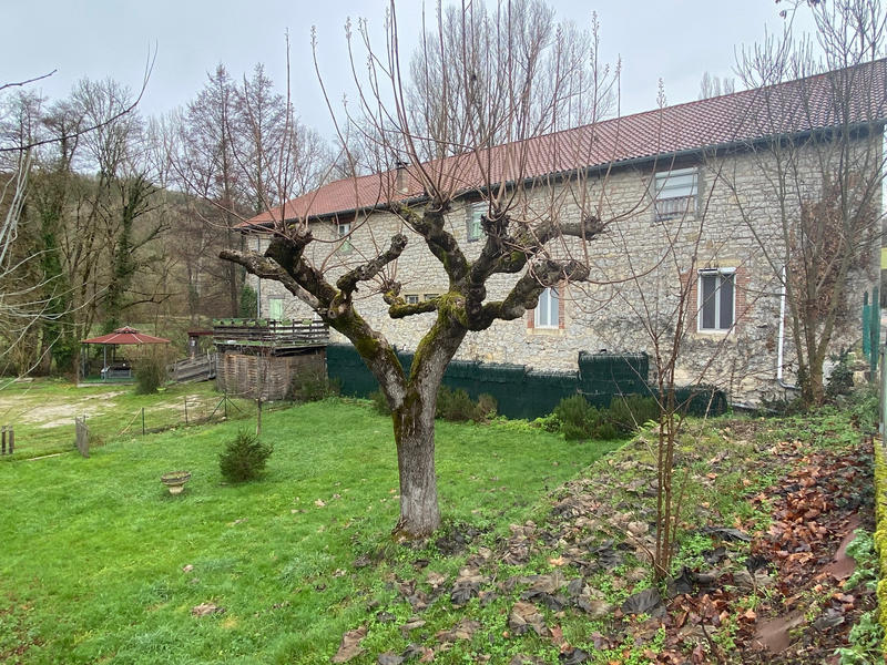 Maison - 526 m² - 11 pièces