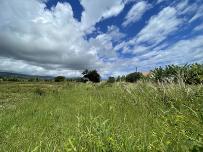 Terrain - 350 m²