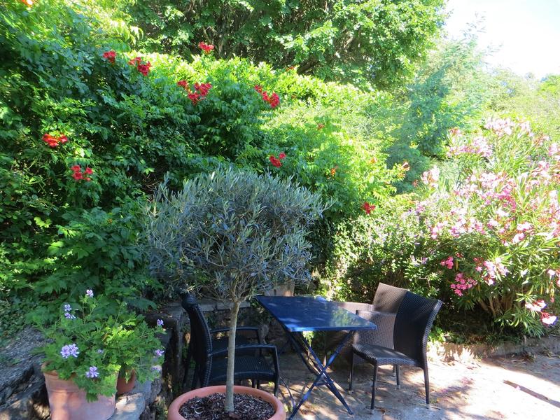 Maison - 485 m² - 12 pièces