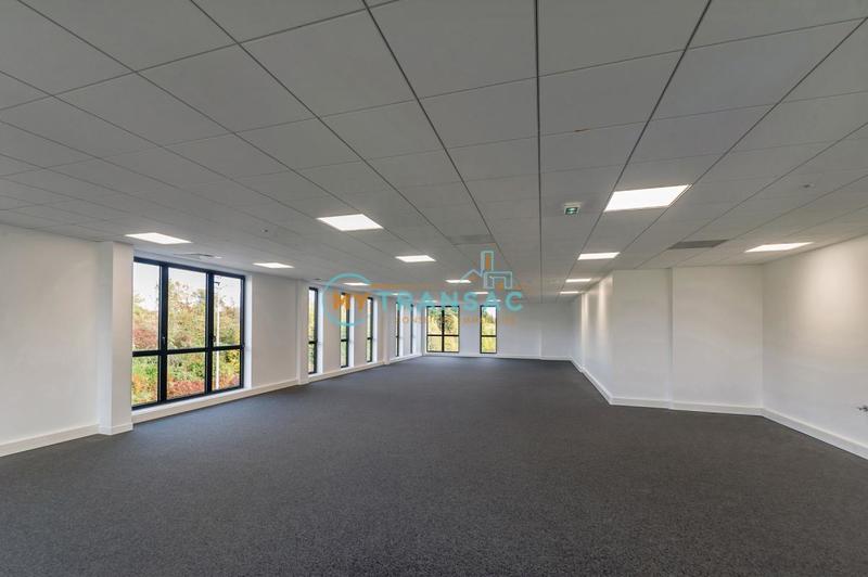 Local d'activité / Entrepôt - 4 151 m²