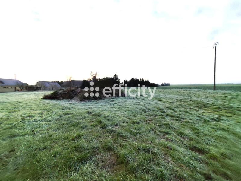 Local d'activité / Entrepôt - 400 m² - 3 pièces