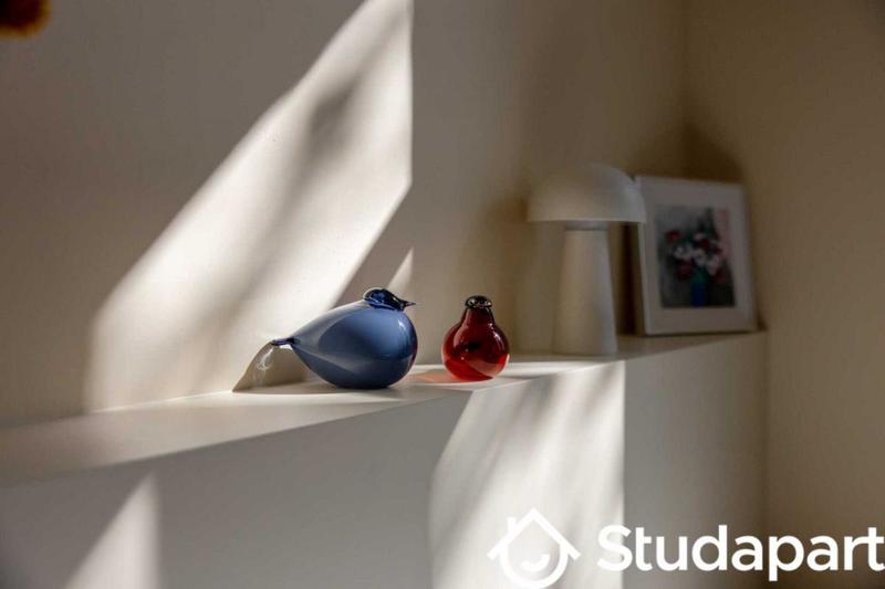 Appartement - 19 m² - 1 pièce