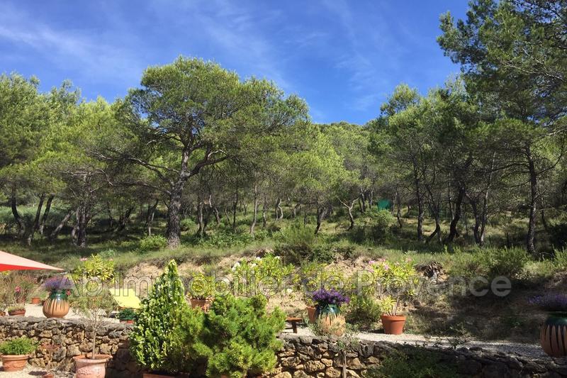 Propriété - 253 m² - 10 pièces