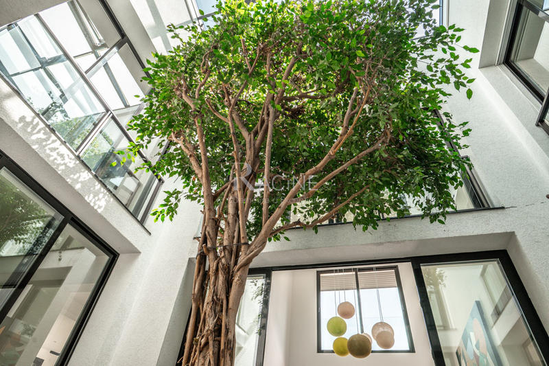 Villa - 310 m² - 7 pièces