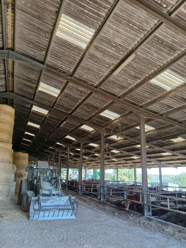 Maison - 1 800 m² - 1 pièce