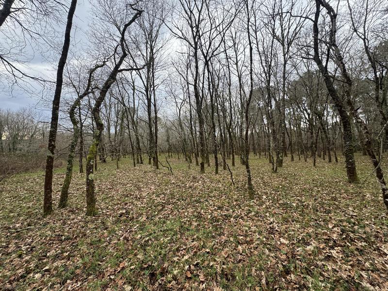 Terrain - 96 131 m²