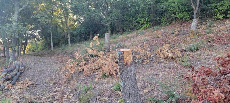 Terrain constructible - 725 m²