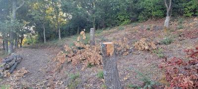 Terrain constructible - 725 m²