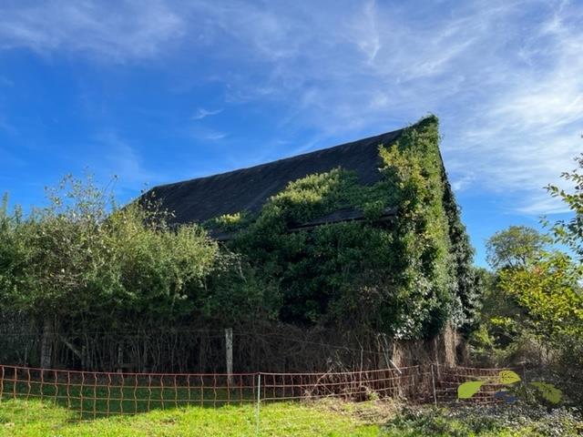 Maison en pierre - 140 m² - 6 pièces