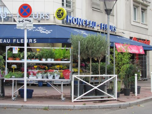 Monceau Fleurs