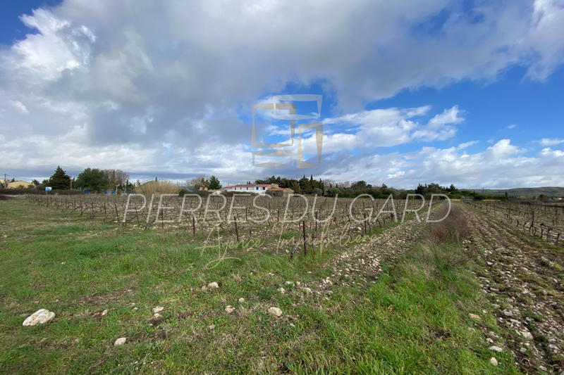 Terrain agricole - 7 745 m²