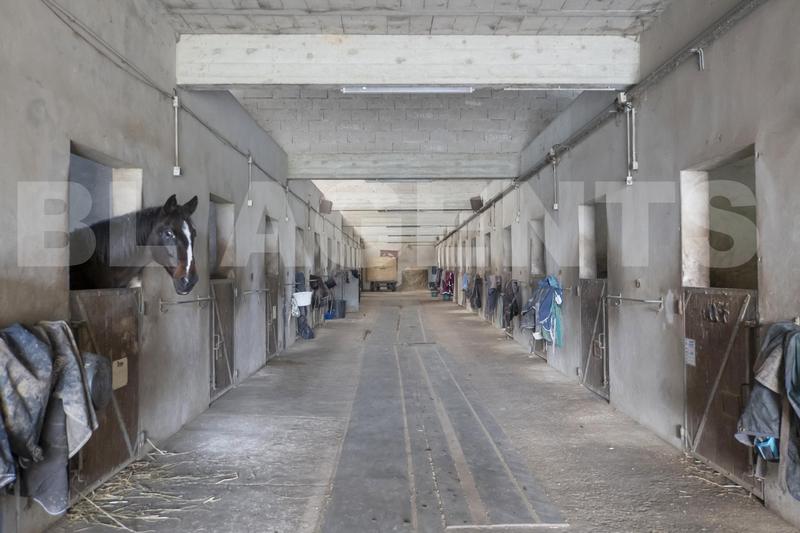 Maison de domaine équestre - 220 m² - 9 pièces