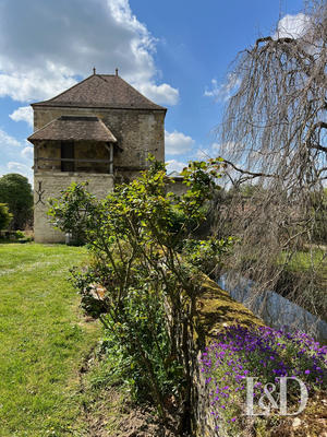 Château - 450 m² - 14 pièces