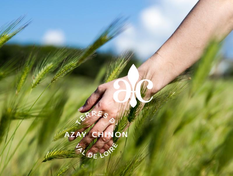 A la découverte des puys du Chinonais