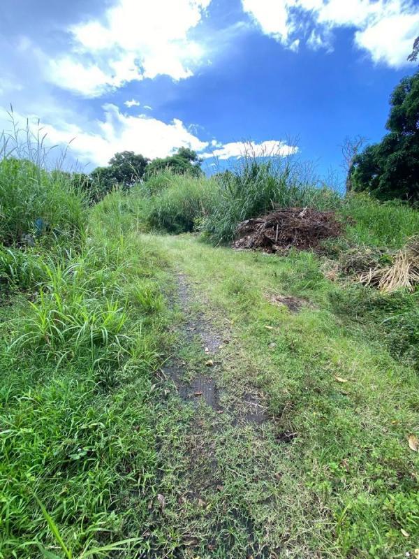 Terrain - 10 800 m²