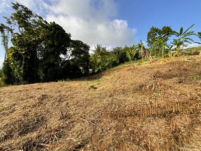 Terrain constructible - 1 111 m²