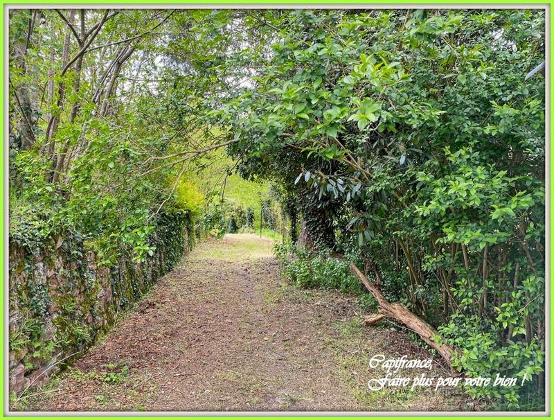 Maison - 78 m² - 4 pièces