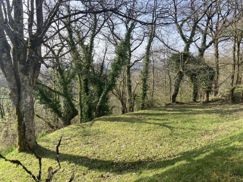 Propriété - 155 m² - 8 pièces