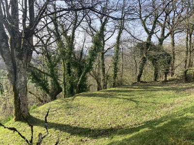 Propriété - 155 m² - 8 pièces