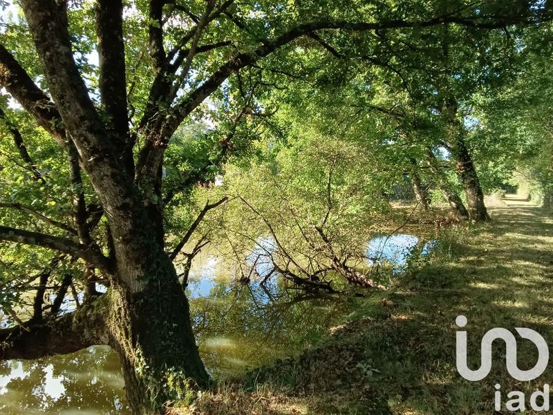 Terrain - 30 533 m²