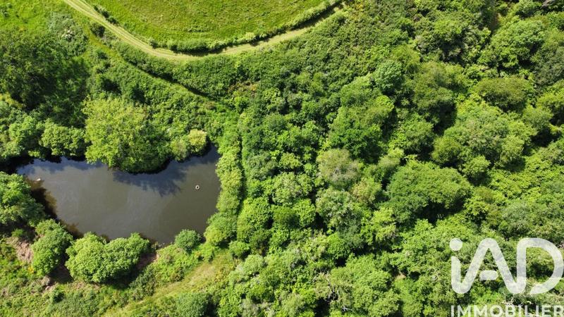 Terrain - 113 246 m²