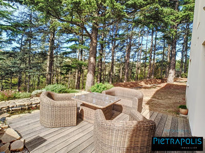 Maison - 274 m² - 10 pièces