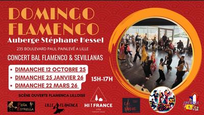 Festival Lille Flamenca: Domingos Flamencos - Peña Estrella