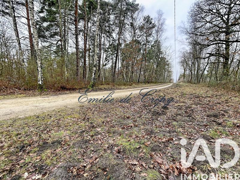 Maison - 280 m² - 10 pièces