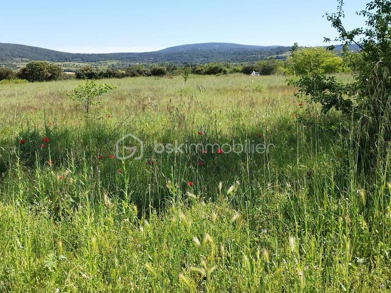 Terrain - 11 536 m²