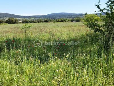 Terrain - 11 536 m²