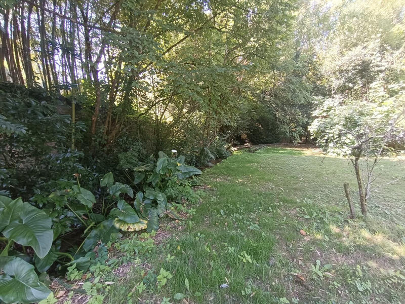 Maison ancienne - 250 m² - 7 pièces