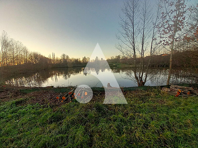 Étang - 19 895 m²