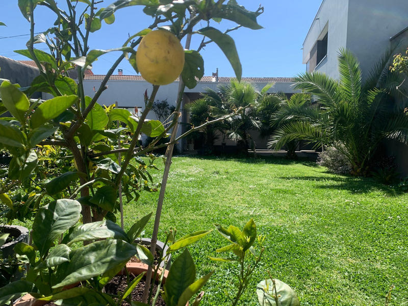 Maison contemporaine - 211 m² - 6 pièces